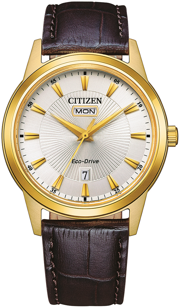 Citizen Miesten kello AW0102-13AE Classic Hopea/Nahka Ø40 mm